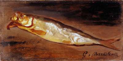 Herring - Bartolena Giovanni